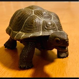 Baby Tortoise Collectible Figurine 🐢